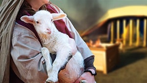 8. Why did animals need to be sacrificed in the sanctuary services? 8. Why did animals need to be sacrificed in the sanctuary services?