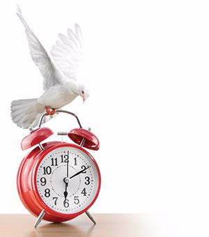 8. At what point does the Holy Spirit stop pleading with a person? 8. At what point does the Holy Spirit stop pleading with a person?